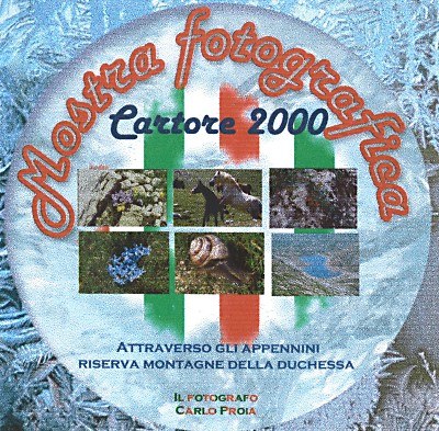 Cartore 2000 - Viaggio virtuale sui paesi del comune di Borgorose Cartore 2000 - Viaggio virtuale sui paesi del comune di Borgorose