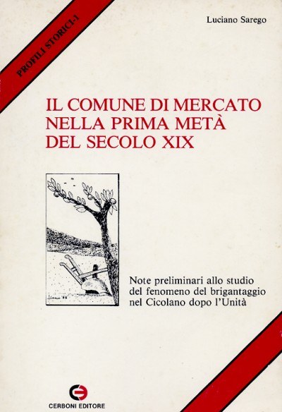 Il comune di Mercato nella prima metà del secolo XIX Il comune di Mercato nella prima metà del secolo XIX