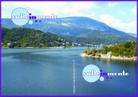 SaltoinMente