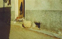 004.jpg 004.jpg