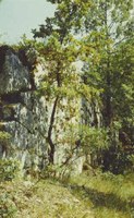 005.jpg 005.jpg