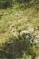 009.jpg 009.jpg