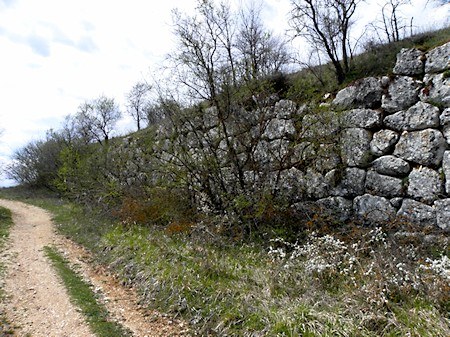 alba-ripulitura.jpg alba-ripulitura.jpg