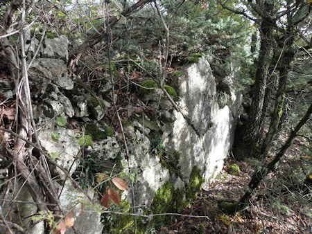 collevetere-ripulitura.jpg collevetere-ripulitura.jpg