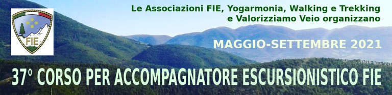 banner-corso-ae.jpg